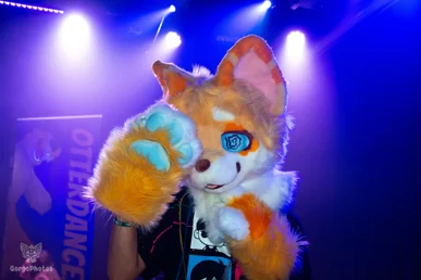 otterdance5_2024-147-standard.webp