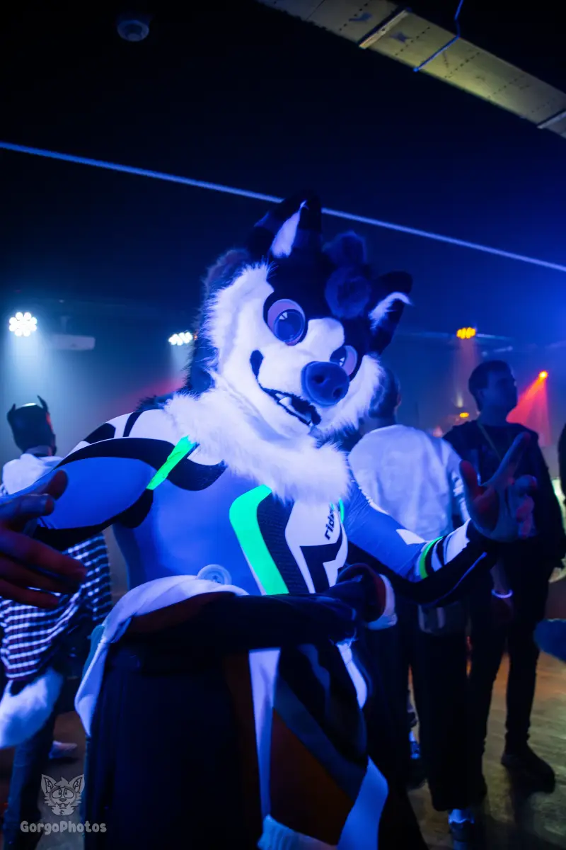 otterdance5_2024-154-standard.webp