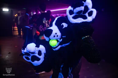 otterdance5_2024-161-standard.webp