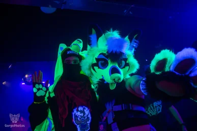 otterdance5_2024-167-standard.webp