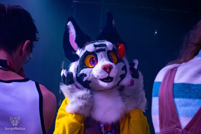 otterdance5_2024-168-standard.webp