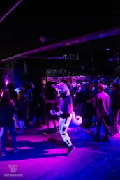 otterdance5_2024-2-standard.webp