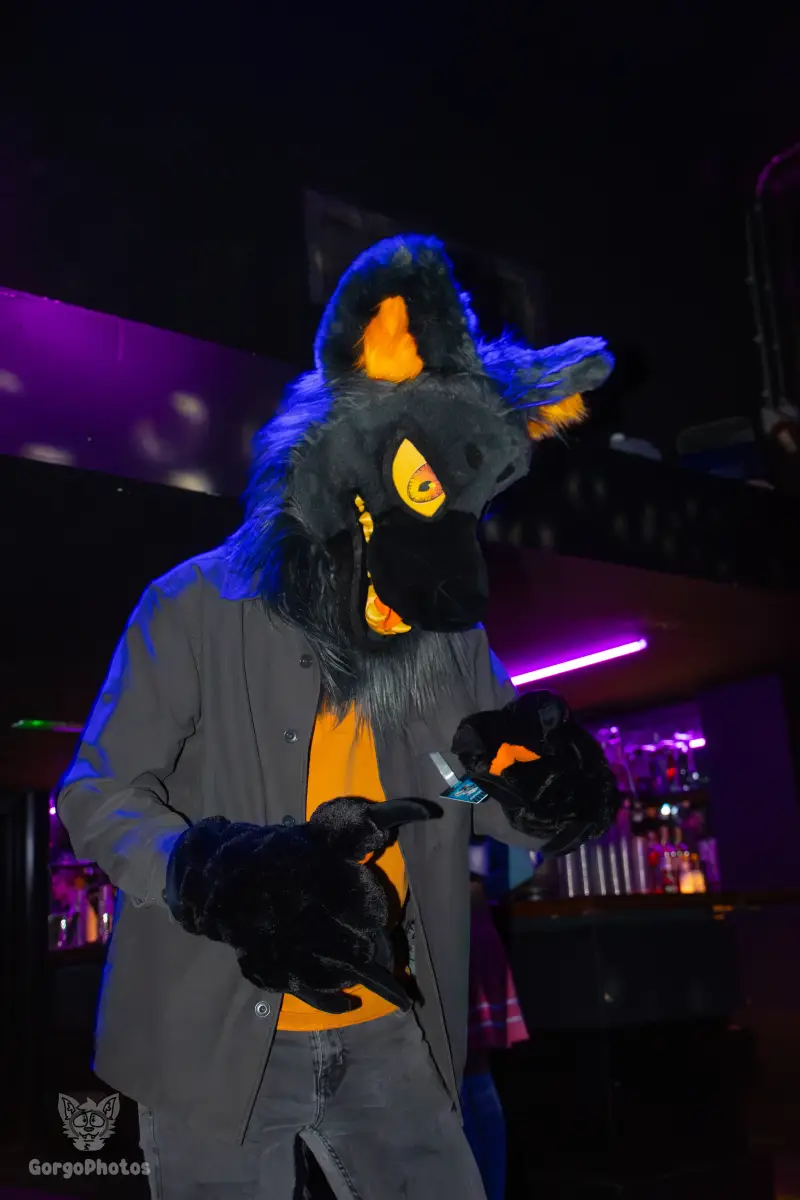 otterdance5_2024-25-standard.webp