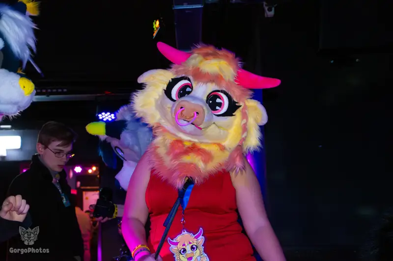 otterdance5_2024-30-standard.webp