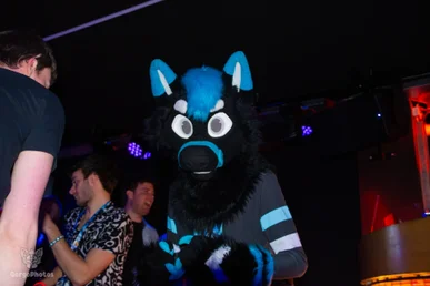 otterdance5_2024-33-standard.webp