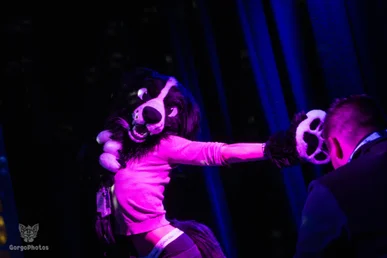 otterdance5_2024-4-standard.webp