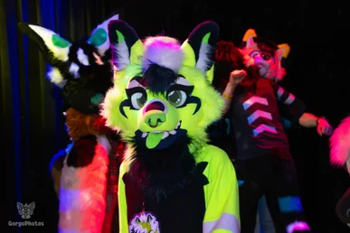 otterdance5_2024-60-standard.webp