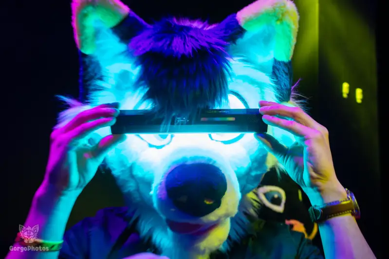 otterdance5_2024-74-standard.webp