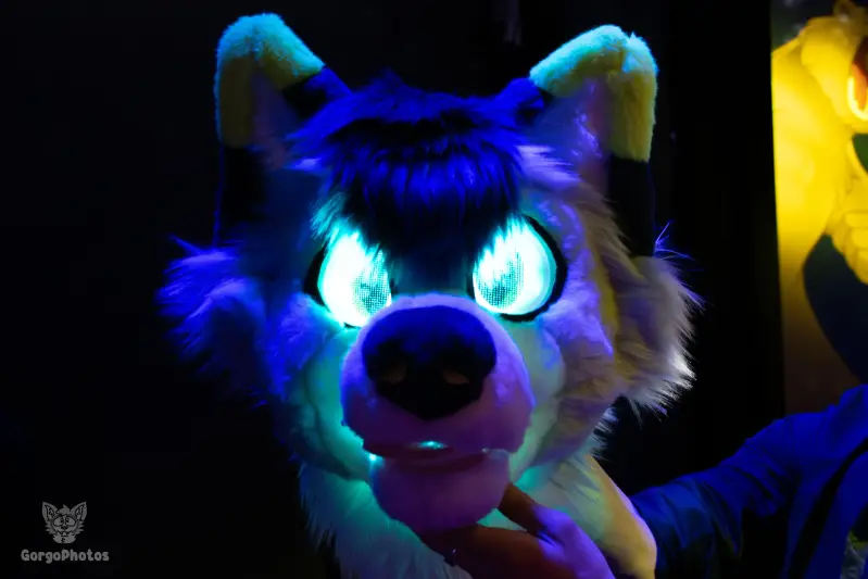 otterdance5_2024-75-standard.webp