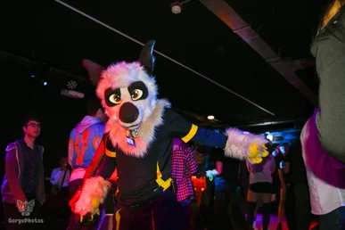 otterdance5_2024-77-standard.webp