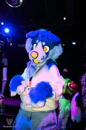 otterdance5_2024-79-standard.webp