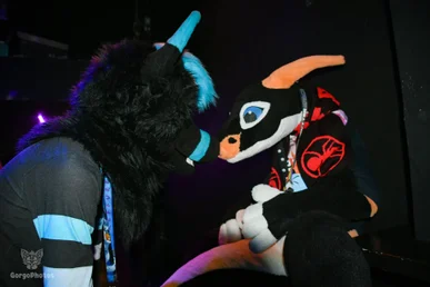 otterdance5_2024-97-standard.webp