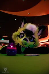 rfr25_bowling-26-standard.webp