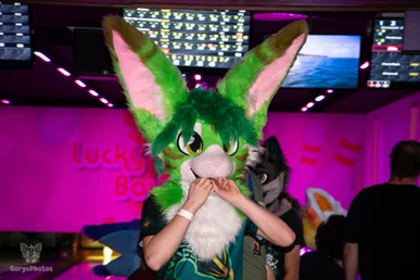 rfr25_bowling-41-standard.webp