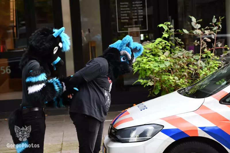 rotterdamfurmeet_0025.webp