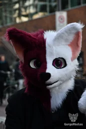 utrecht2024_00131.webp