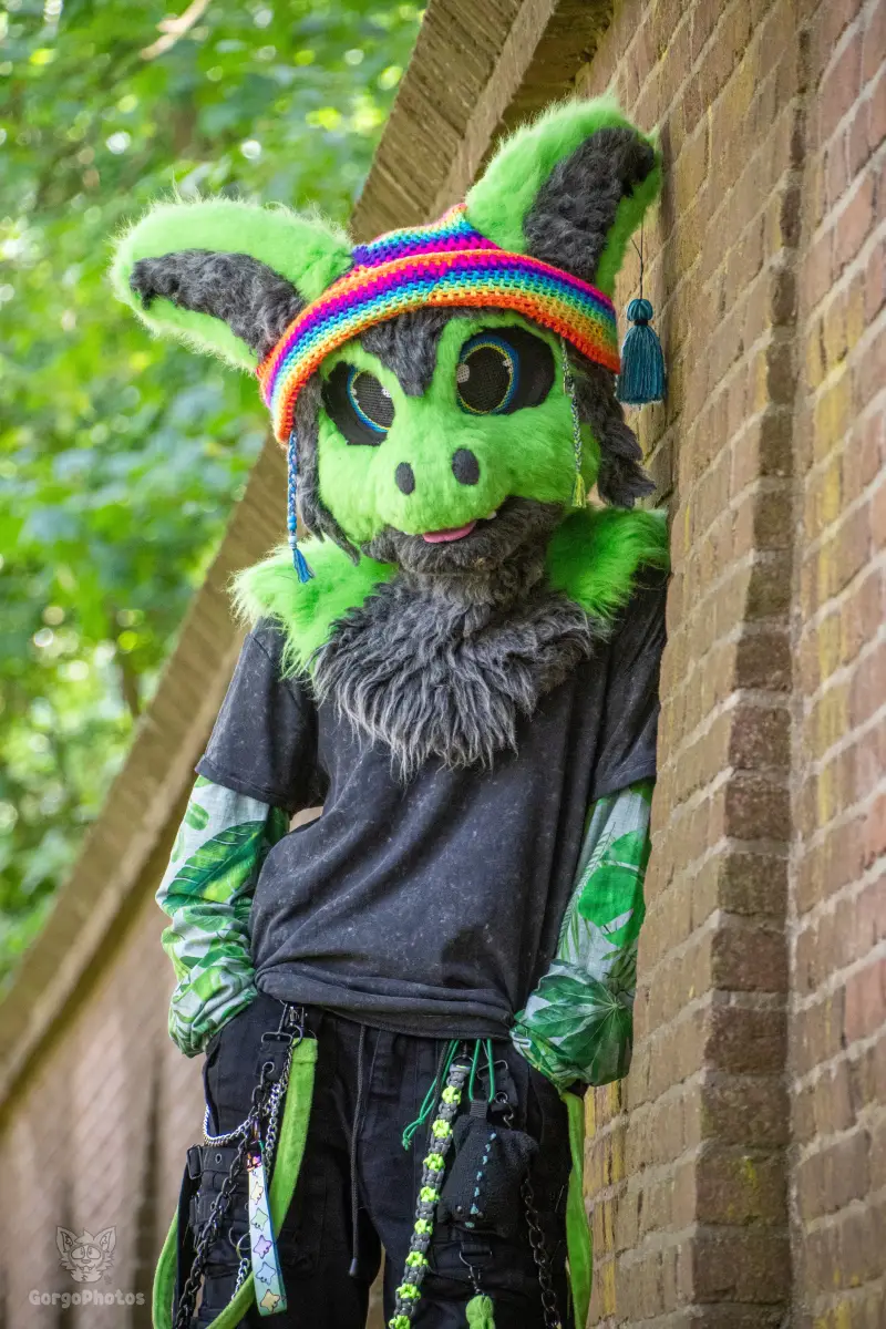 sonsbeekfurmeet_07-12-11-standard.webp