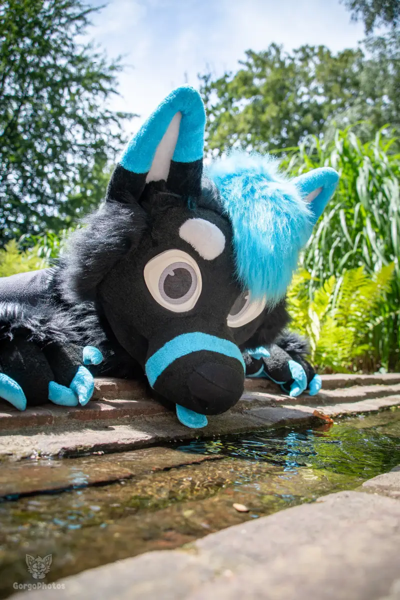 sonsbeekfurmeet_07-12-15-standard.webp