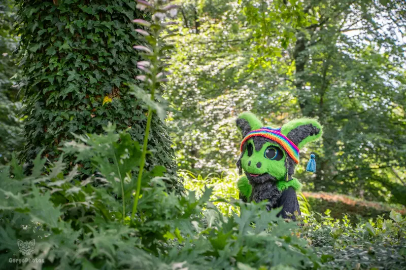 sonsbeekfurmeet_07-12-26-standard.webp