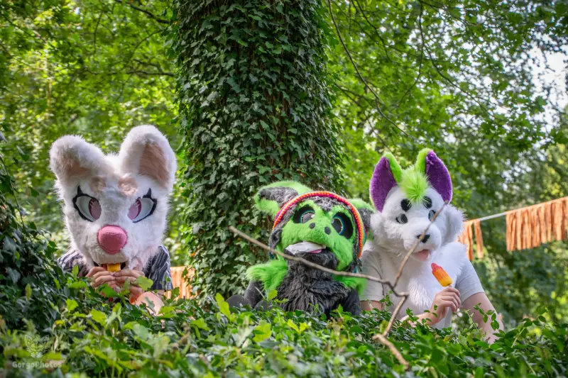 sonsbeekfurmeet_07-12-29-standard.webp