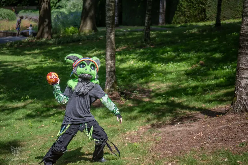 sonsbeekfurmeet_07-12-3-standard.webp