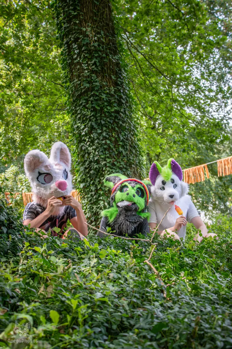 sonsbeekfurmeet_07-12-30-standard.webp