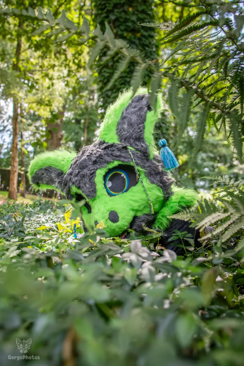 sonsbeekfurmeet_07-12-33-standard.webp