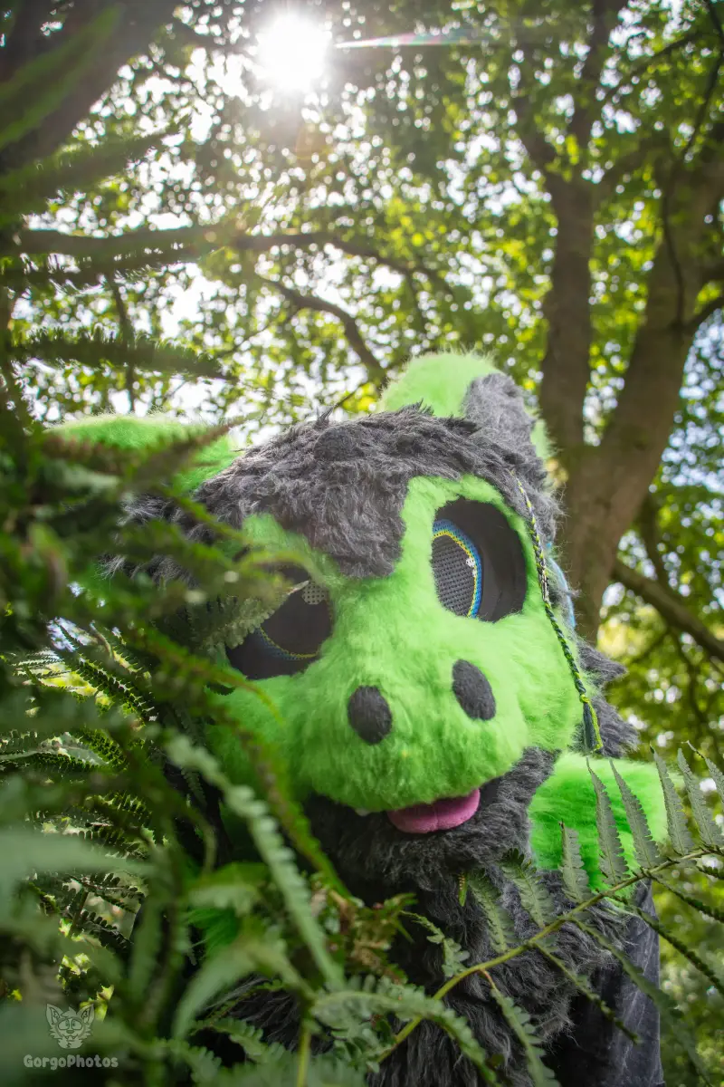 sonsbeekfurmeet_07-12-35-standard.webp