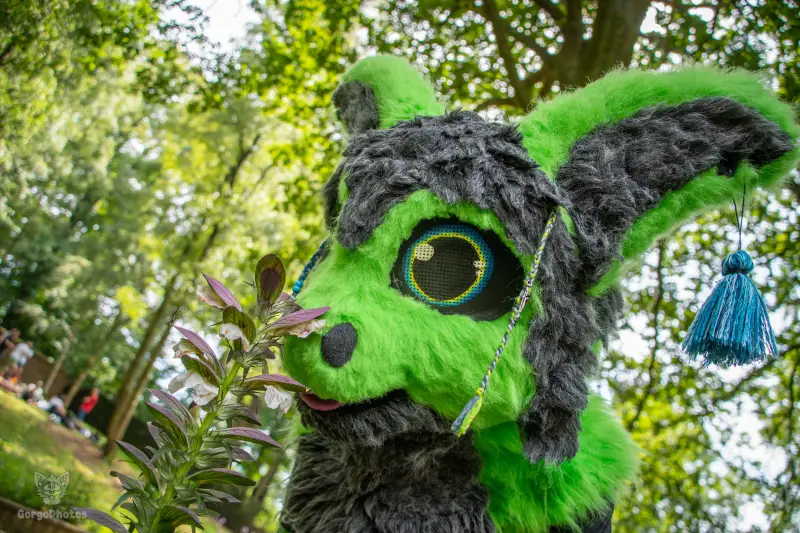 sonsbeekfurmeet_07-12-36-standard.webp