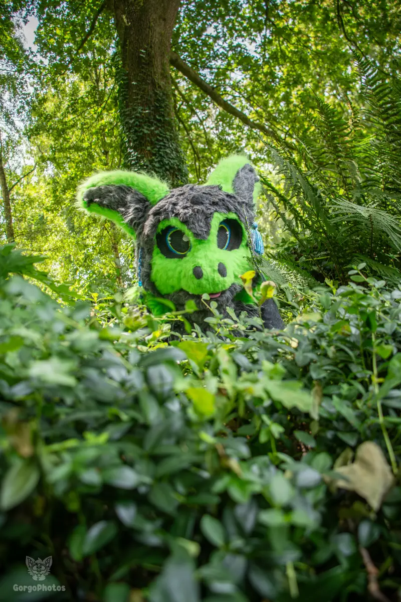 sonsbeekfurmeet_07-12-38-standard.webp