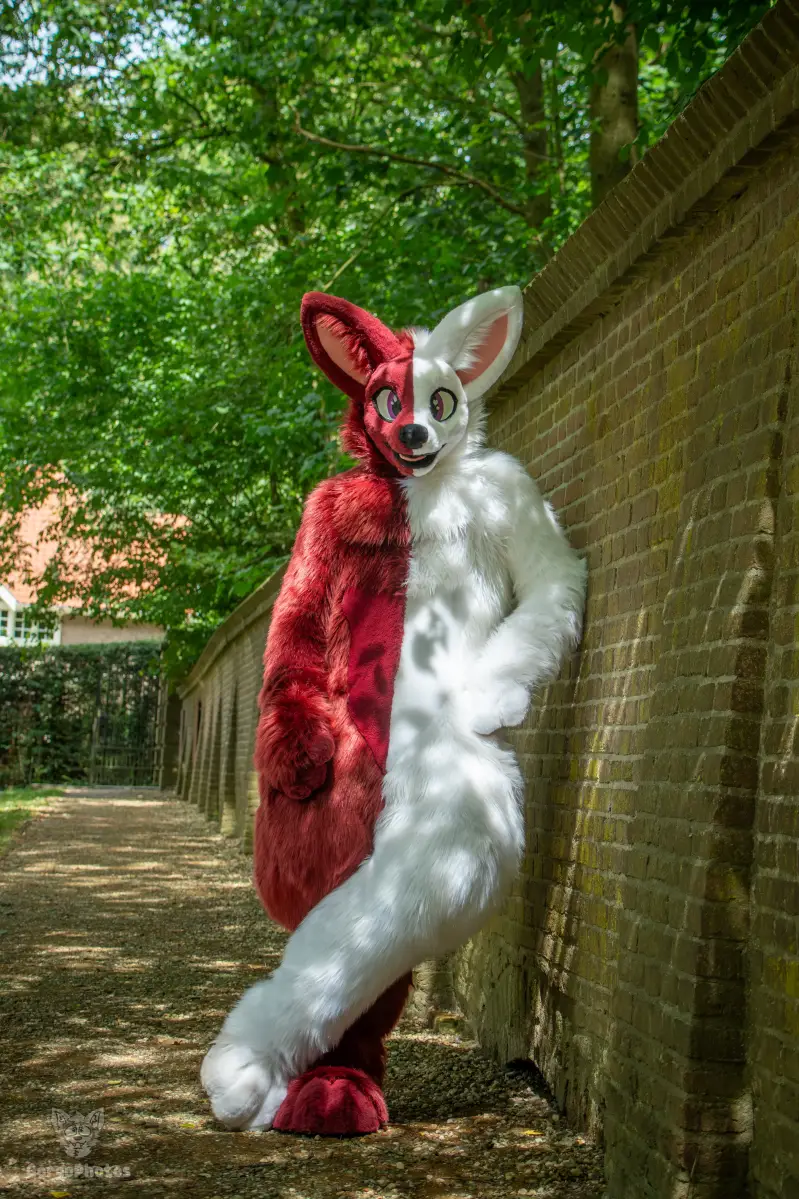 sonsbeekfurmeet_07-12-39-standard.webp