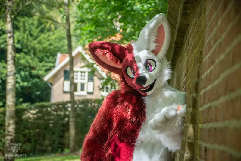 sonsbeekfurmeet_07-12-40-standard.webp