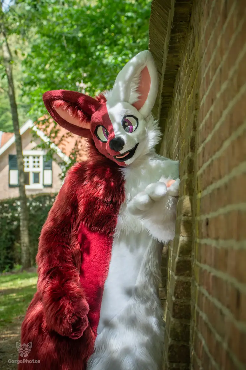 sonsbeekfurmeet_07-12-41-standard.webp