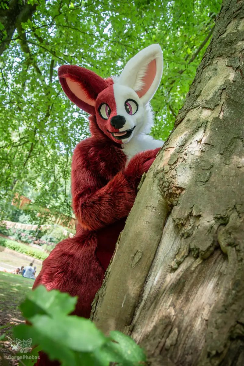 sonsbeekfurmeet_07-12-45-standard.webp