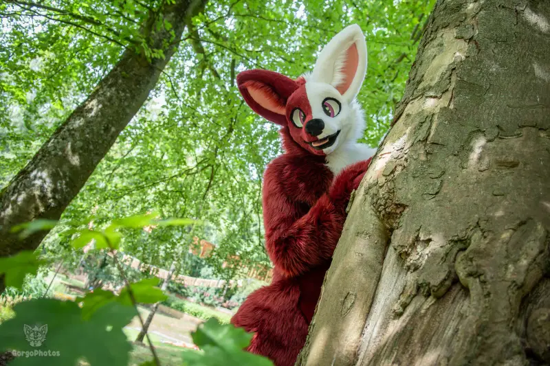 sonsbeekfurmeet_07-12-46-standard.webp