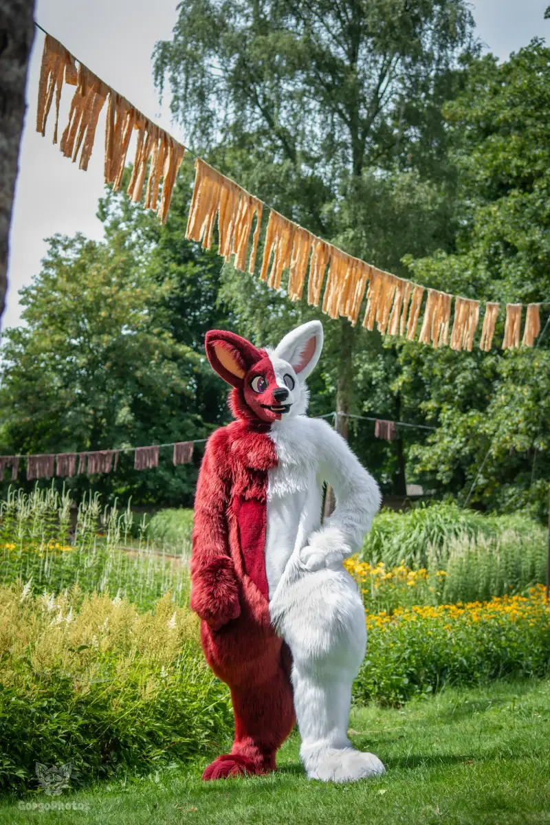 sonsbeekfurmeet_07-12-47-standard.webp