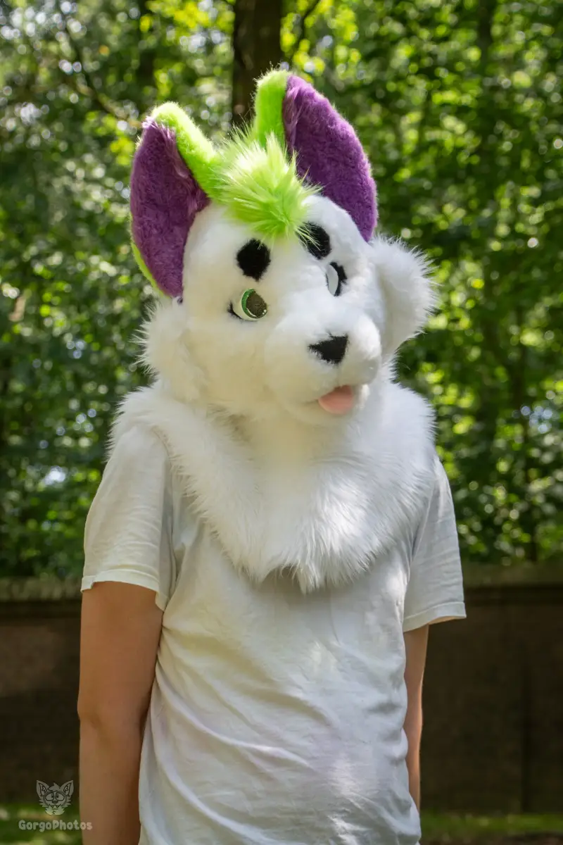 sonsbeekfurmeet_07-12-5-standard.webp