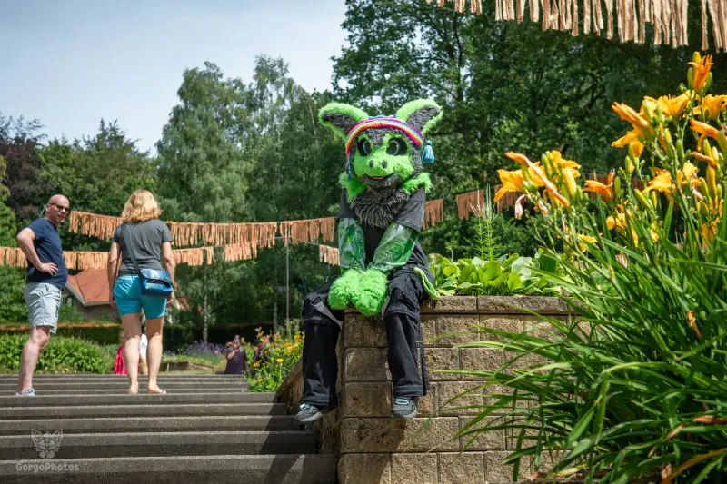 sonsbeekfurmeet_07-12-53-standard.webp