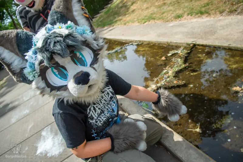 sonsbeekfurmeet_07-12-54-standard.webp