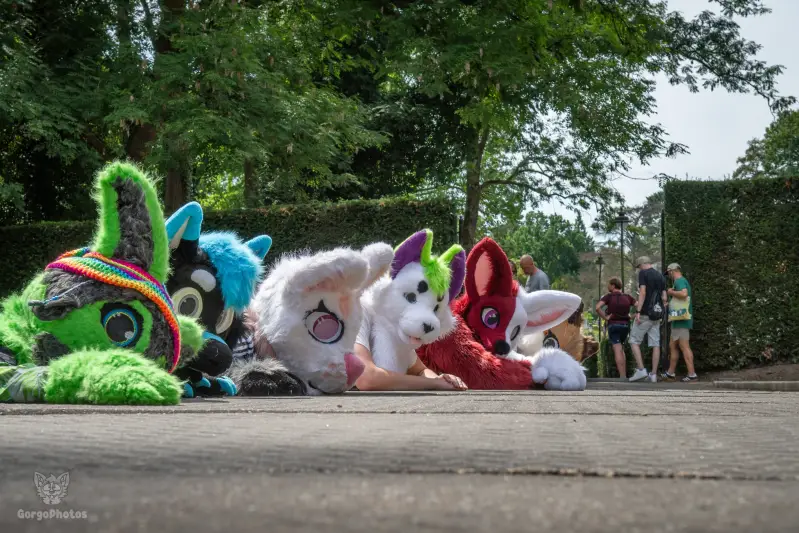 sonsbeekfurmeet_07-12-55-standard.webp