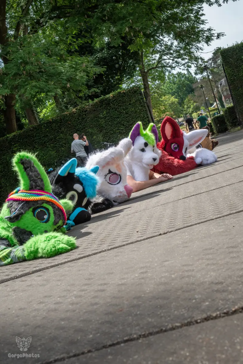 sonsbeekfurmeet_07-12-56-standard.webp