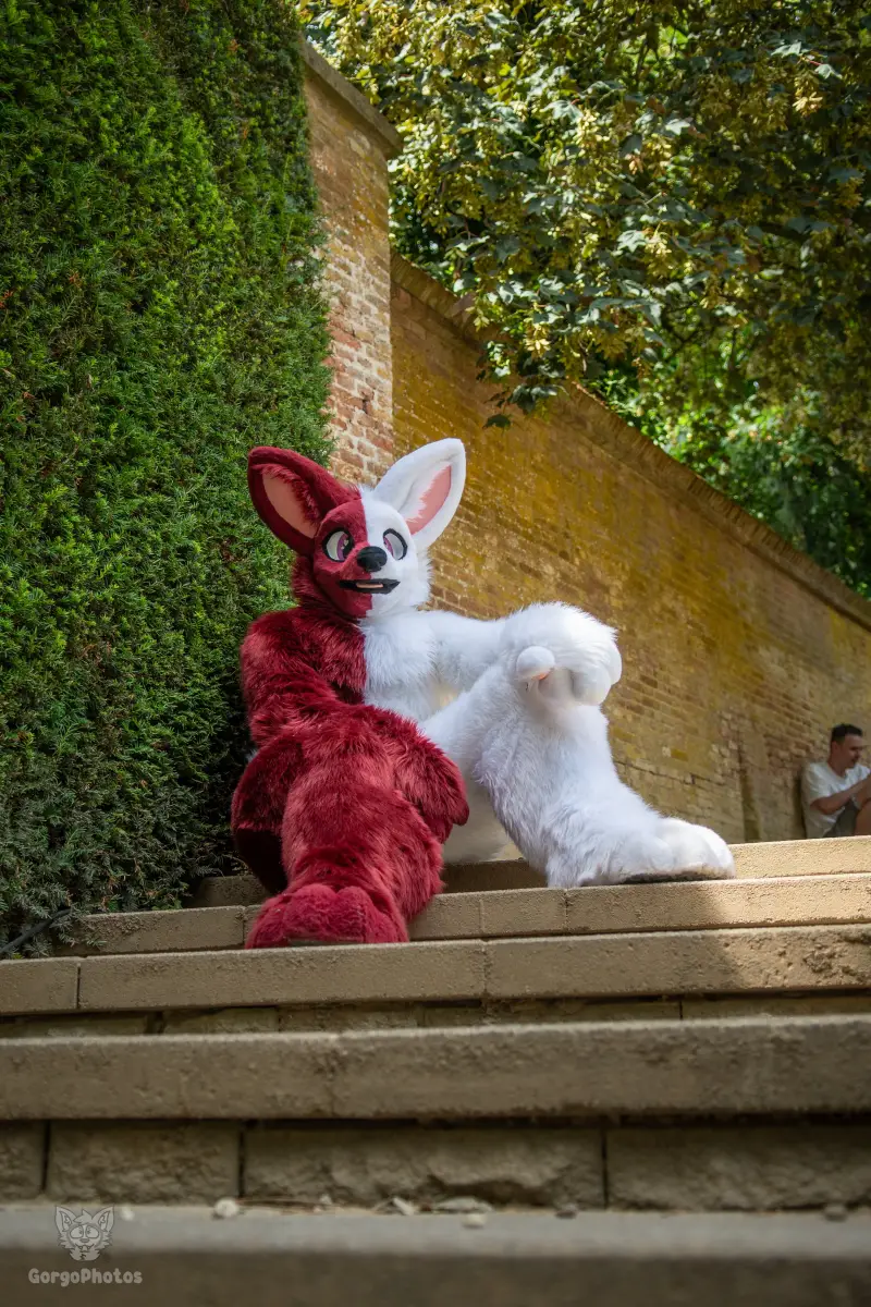 sonsbeekfurmeet_07-12-57-standard.webp