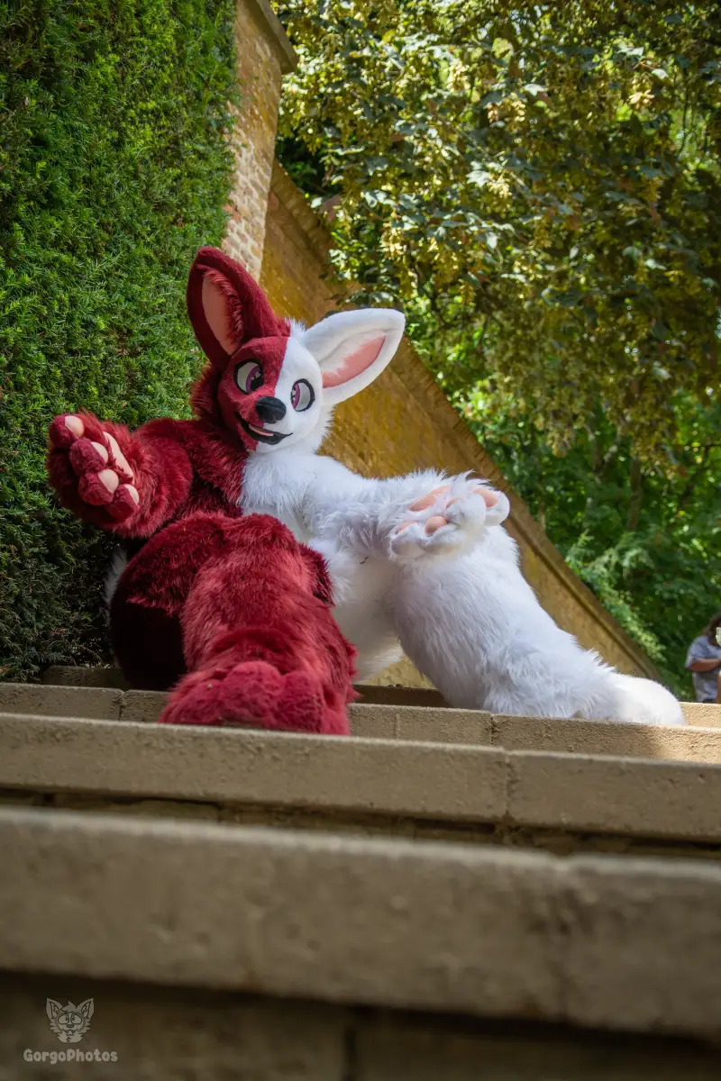 sonsbeekfurmeet_07-12-58-standard.webp