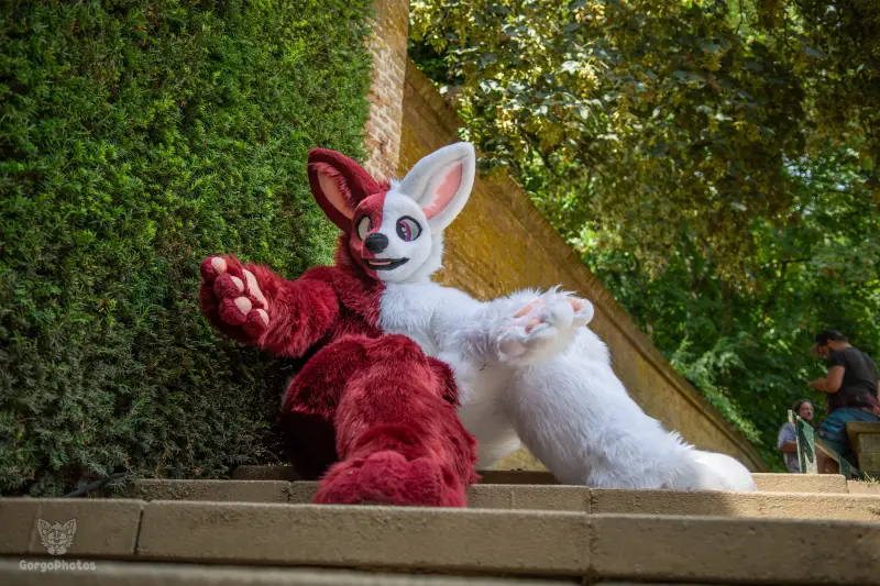 sonsbeekfurmeet_07-12-59-standard.webp