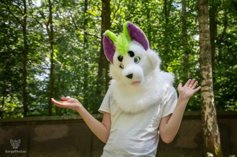 sonsbeekfurmeet_07-12-6-standard.webp