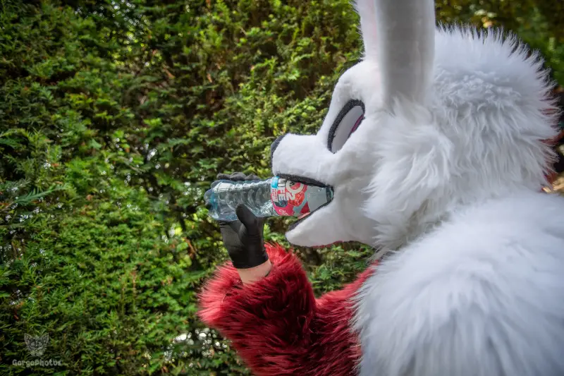 sonsbeekfurmeet_07-12-60-standard.webp