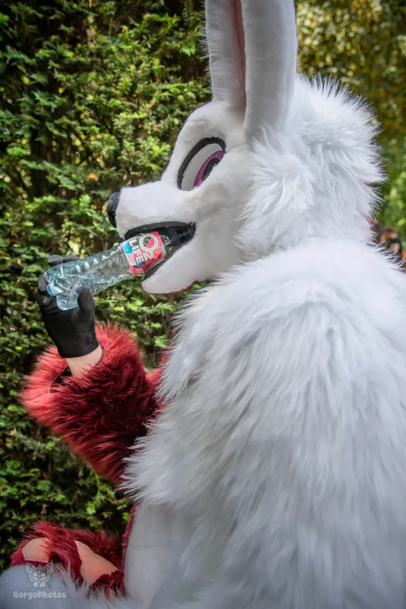 sonsbeekfurmeet_07-12-61-standard.webp