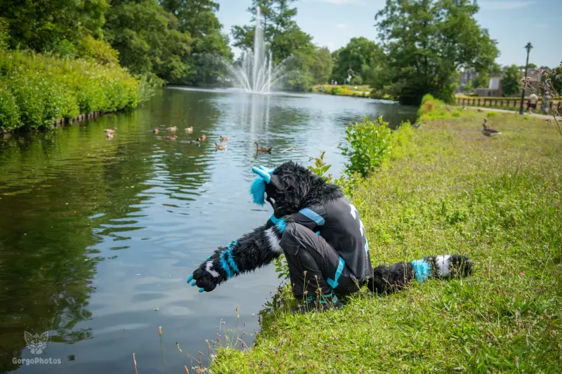 sonsbeekfurmeet_07-12-62-standard.webp