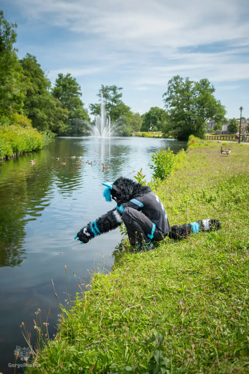sonsbeekfurmeet_07-12-63-standard.webp