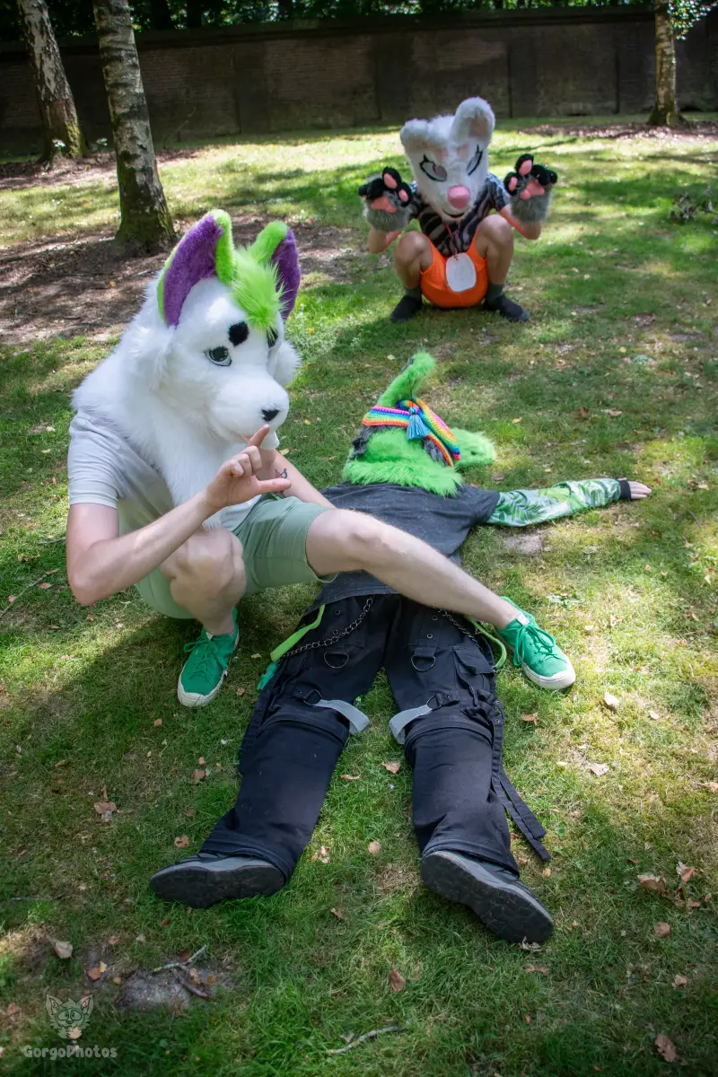 sonsbeekfurmeet_07-12-7-standard.webp